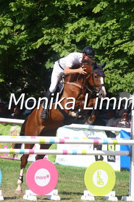 308M3707_Chico_Springpferde Mx.JPG